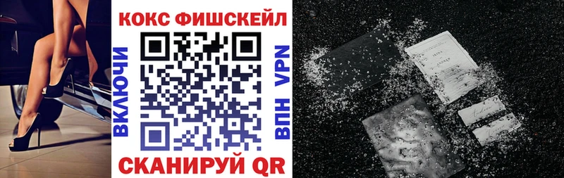 Купить закладки  Саров  Cocaine 97% 